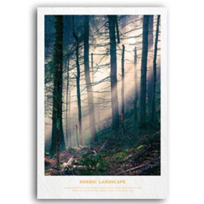 Nordic Scandinavia Natural Forest Sunshine Scene Printing