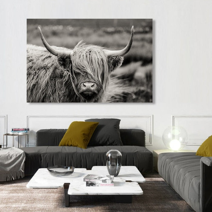 Scottish Highland Catt Cow Yak Animal Poster Wall Art - Canvas Wall Art Painting