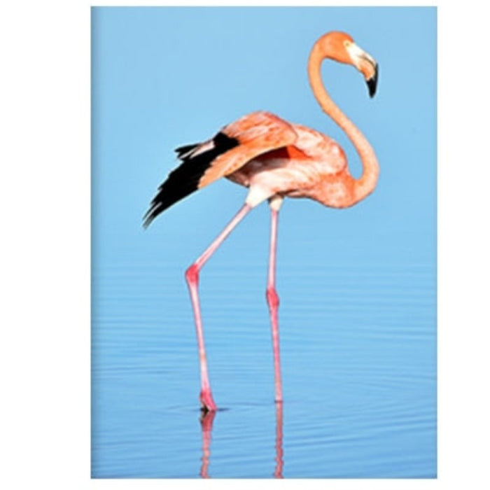 Flamingo In Seascape - Canvas Wall Art Painting