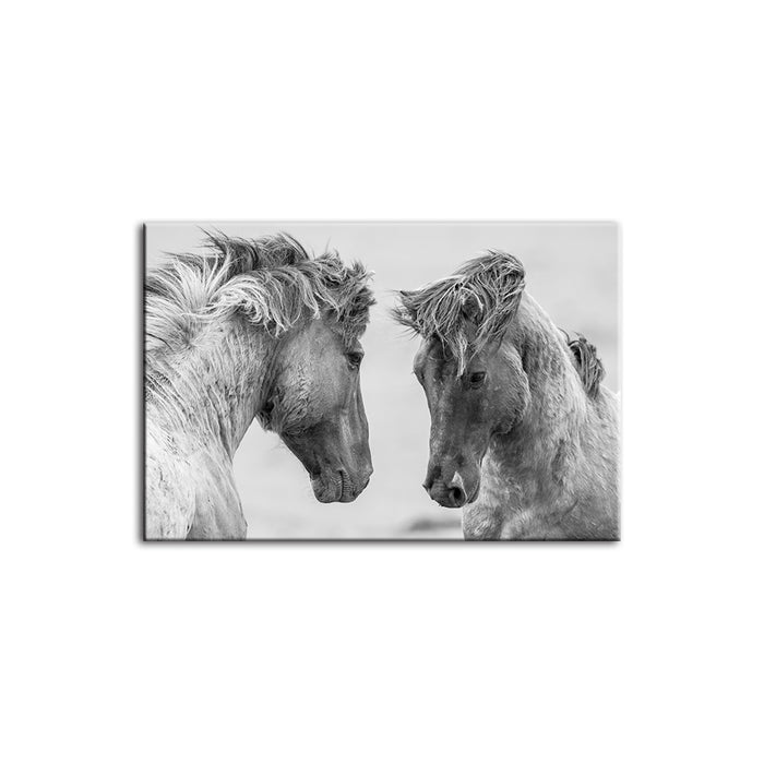 Two White Horses - Canvas Wall Art Painting