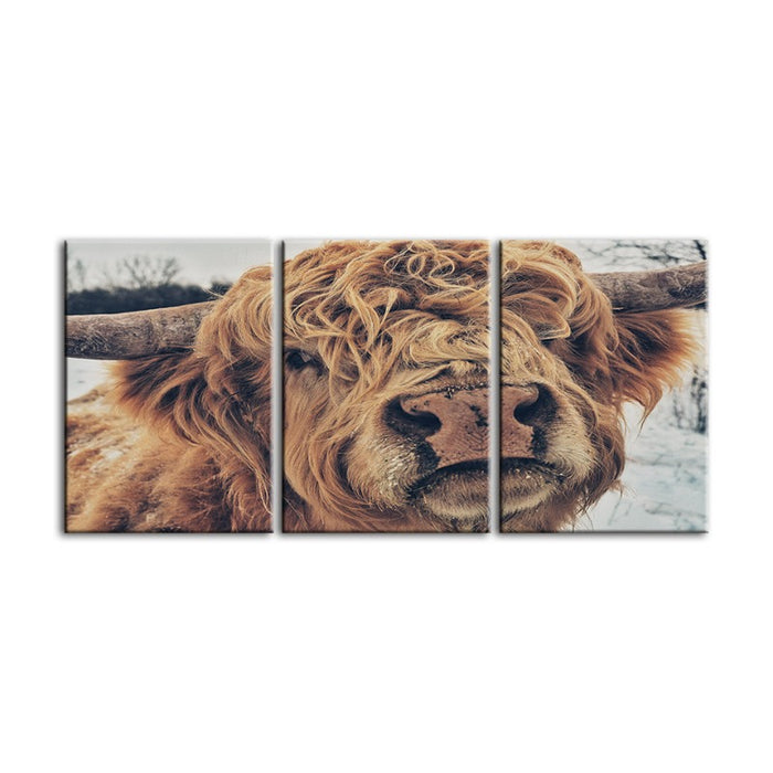 Close Up Brown Cow-Canvas Wall Art Painting 3 Pieces
