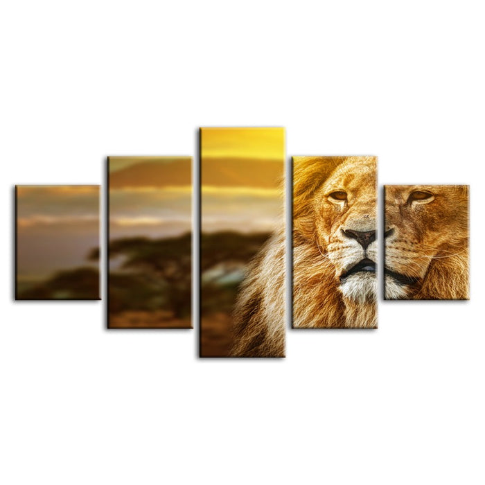 5 Piece Unamused Lion - Canvas Wall Art Painting