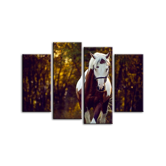 4 Piece Courtly Overo Horse - Canvas Wall Art Painting