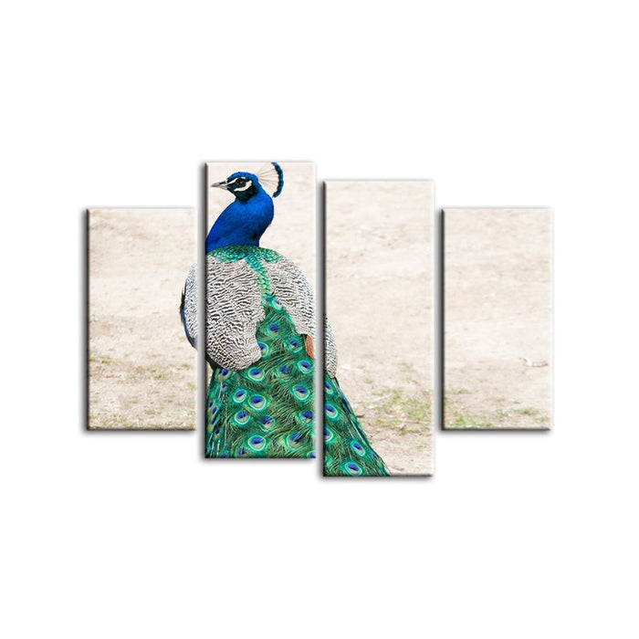 4 Piece Skirted Elegant Peacock - Canvas Wall Art Painting
