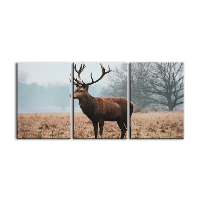 Regal Deer In The Plains-Canvas Wall Art Painting 3 Pieces