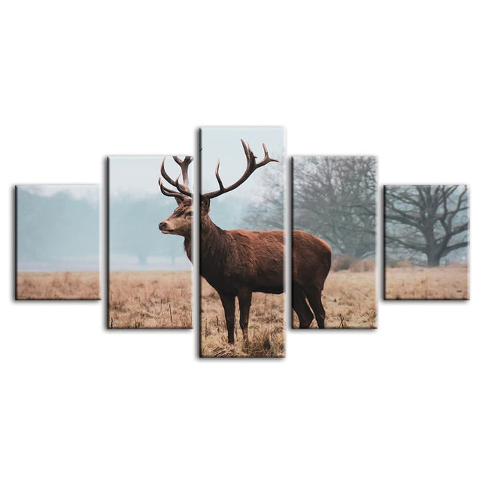 5 Piece Regal Deer in the Plains - Canvas Wall Art Painting