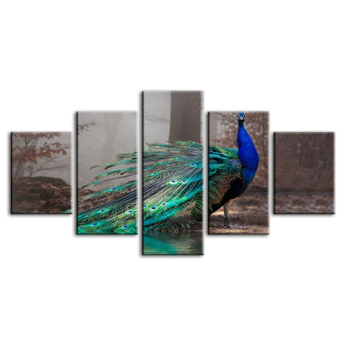 5 Piece Vivid Peacock by the Pond - Canvas Wall Art Painting