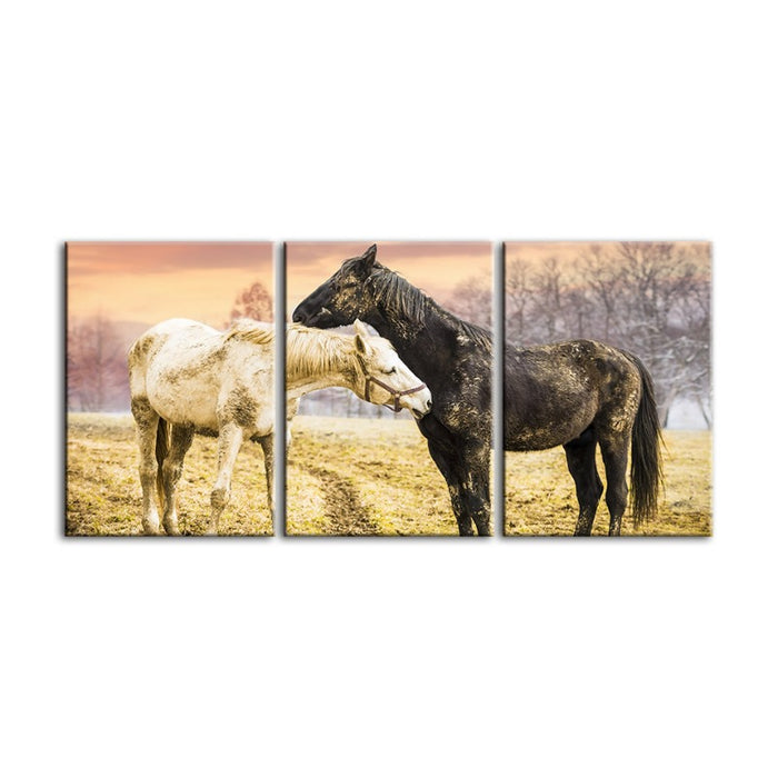 Black & White Horses-Canvas Wall Art Painting 3 Pieces