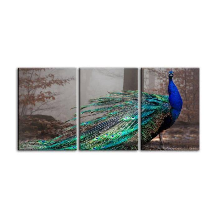 Vivid Peacock By The Pond-Canvas Wall Art Painting 3 Pieces