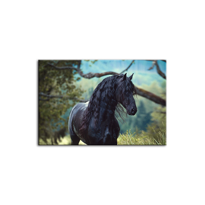 Black Horse In Forest - Canvas Wall Art Painting