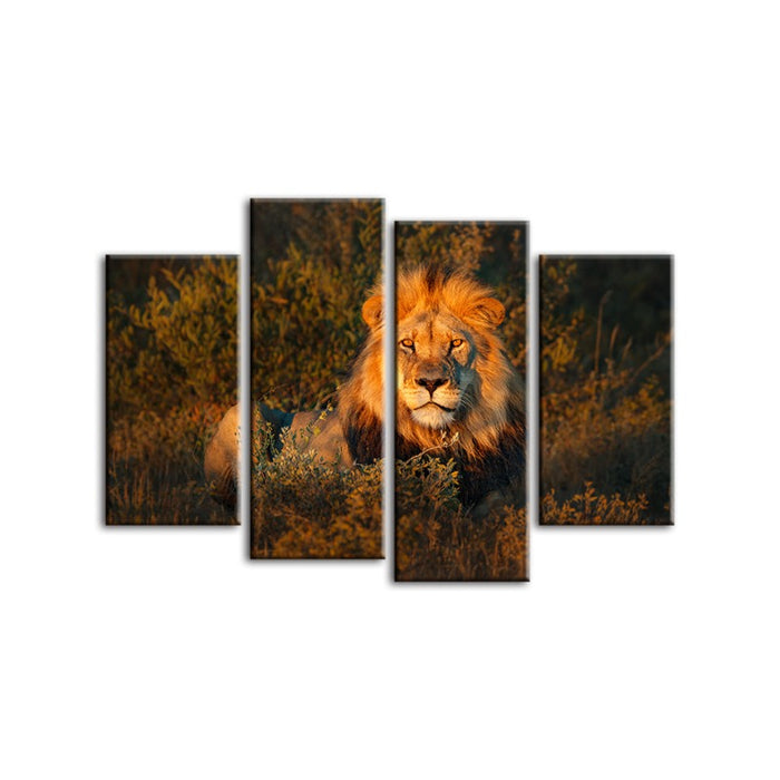4 Piece Divine Sunset Lion - Canvas Wall Art Painting